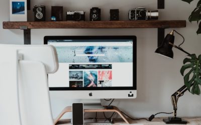 What are Working Capital Loans?